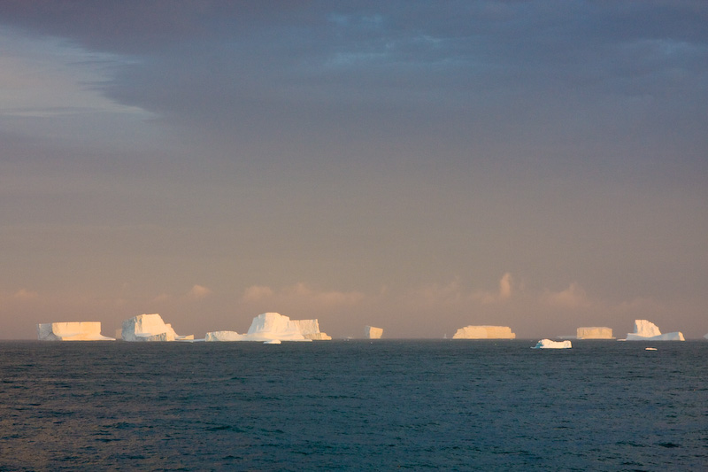Icebergs At Sunset